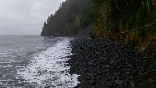 Aerial view of the Lost Coast featuring a rocky beach with black stones two people walking along the shoreline and steep forested cliffs Humboldt County California United States.