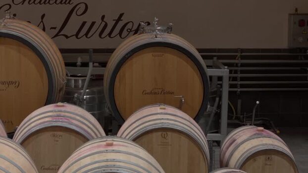 View of Chateau Couhins Lurton wine barrels France.