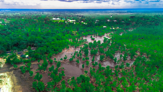 Aerial view of the lush mangrove forests and wetlands near Bukuma featuring dense green vegetation muddy tidal channels and small traditional wooden boats Buguma Rivers Nigeria.