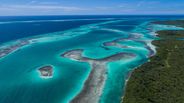 Aerial view of Los Roques archipelago featuring vibrant turquoise waters coral reefs and lush mangrove islands in Los Roques Dependencias Federales Venezuela. Aerial view of Los Roques archipelago featuring vibrant turquoise waters coral reefs and lush mangrove islands in Los Roques Dependencias Federales Venezuela.
