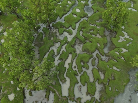 Aerial view of lush green wetlands and winding water channels in the landscape of Sitakund Chittagong Division Bangladesh. Aerial view of lush green wetlands and winding water channels in the landscape of Sitakund Chittagong Division Bangladesh.