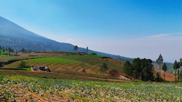 Aerial view of Brakseng agricultural fields in Batu Indonesia.