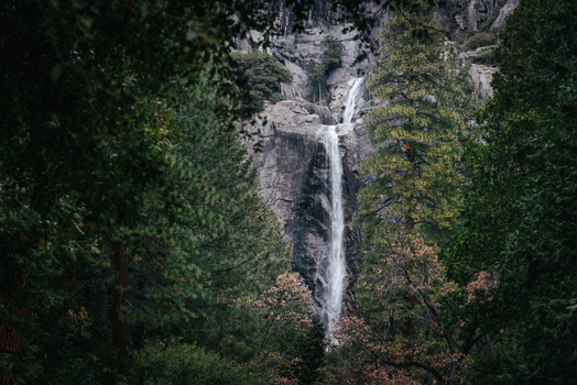 View of Yosemite Falls cascading down a granite cliff face framed by dense pine trees in Yosemite National Park United States of America. View of Yosemite Falls cascading down a granite cliff face framed by dense pine trees in Yosemite National Park United States of America.