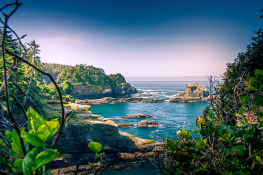 View of the rugged coastline and turquoise waters of Olympic National Park framed by lush green trees and rocky cliffs in Port Angeles Washington United States.