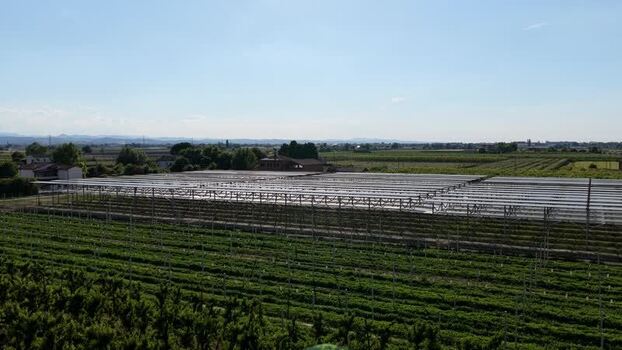Aerial view of agricultural fields in Faenza Italy.