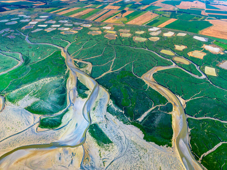 Aerial view of the Baie de Somme estuary featuring intricate winding tidal channels lush green salt marshes and vast sandy flats in Saint Valery sur Somme Hauts de France France. Aerial view of the Baie de Somme estuary featuring intricate winding tidal channels lush green salt marshes and vast sandy flats in Saint Valery sur Somme Hauts de France France.