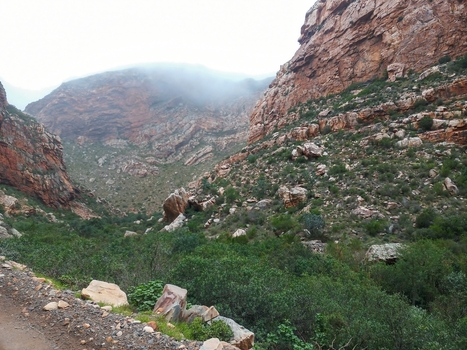 View of the rugged rocky mountains and lush green shrubs of the Klein Karoo under a misty sky in the rural landscape of Robertson Western Cape South Africa. View of the rugged rocky mountains and lush green shrubs of the Klein Karoo under a misty sky in the rural landscape of Robertson Western Cape South Africa.