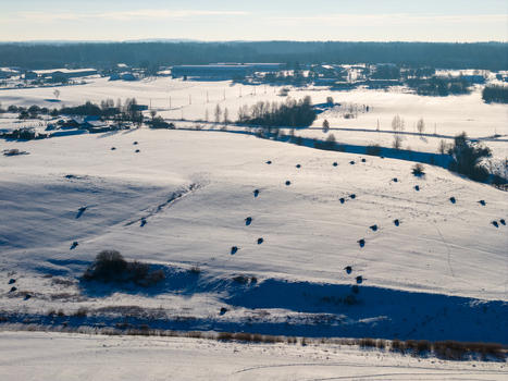 Aerial view of snow covered rolling hills with scattered hay bales and a distant village under a clear winter sky Lithuania. Aerial view of snow covered rolling hills with scattered hay bales and a distant village under a clear winter sky Lithuania.