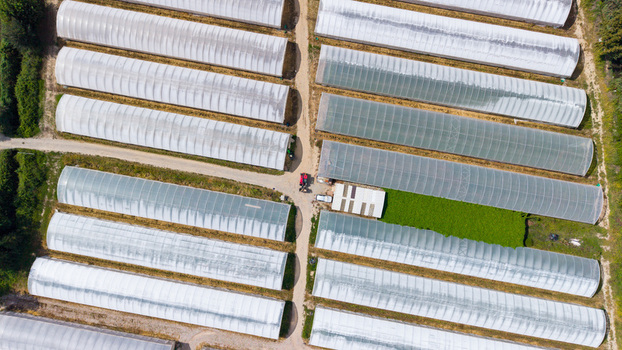 Aerial view of an organic farm greenhouse complex with rows of white plastic tunnels and a small tractor parked on a dirt path in Milan Lombardy Italy.