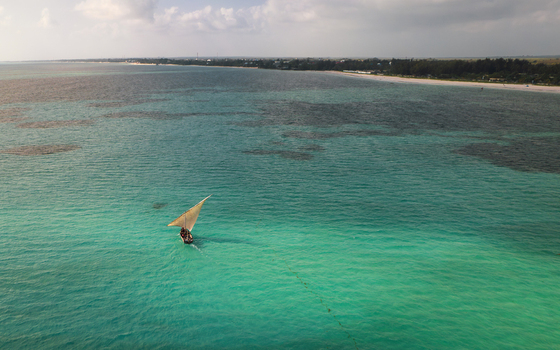 Aerial view of a traditional dhow sailing on turquoise waters meets the sandy shore a vibrant contrast under the expansive sky Paje Unguja South Region Tanzania. Aerial view of a traditional dhow sailing on turquoise waters meets the sandy shore a vibrant contrast under the expansive sky Paje Unguja South Region Tanzania.