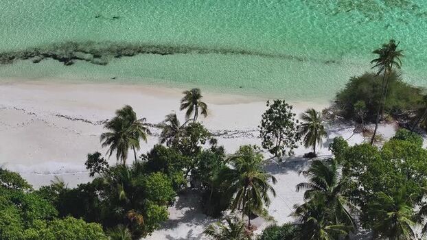 Aerial view of a tropical beach with palm trees and turquoise water Maldives. Aerial view of a tropical beach with palm trees and turquoise water Maldives.