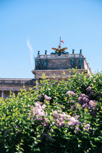 View of the Hofburg palace roof with ornate statues a golden eagle and the Austrian flag seen through blooming lilac bushes in Vienna Vienna Austria. View of the Hofburg palace roof with ornate statues a golden eagle and the Austrian flag seen through blooming lilac bushes in Vienna Vienna Austria.