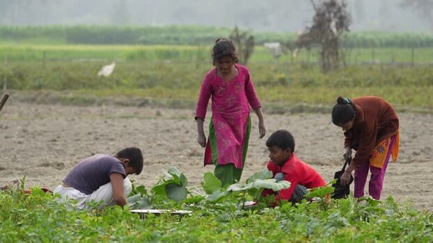 View of children working in a rural field in Bogura Bangladesh.