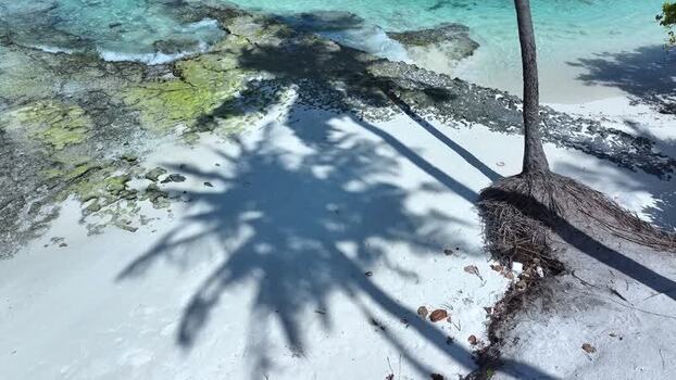 Aerial view of a palm tree shadow on a white sand beach Maldives. Aerial view of a palm tree shadow on a white sand beach Maldives.