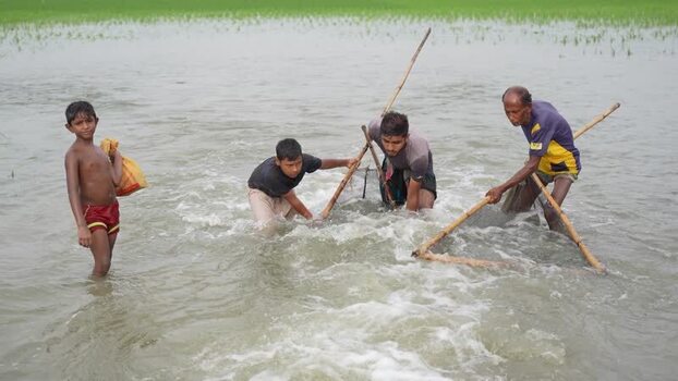 View of fishermen using traditional nets in flooded fields Bangladesh.