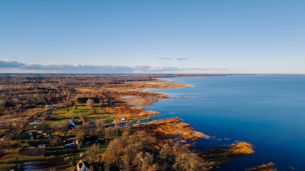 Aerial view of Burtnieki Lake coastline featuring golden reed textures and rural autumn landscape under a clear blue sky in Burtnieki Valmiera Municipality Latvia.