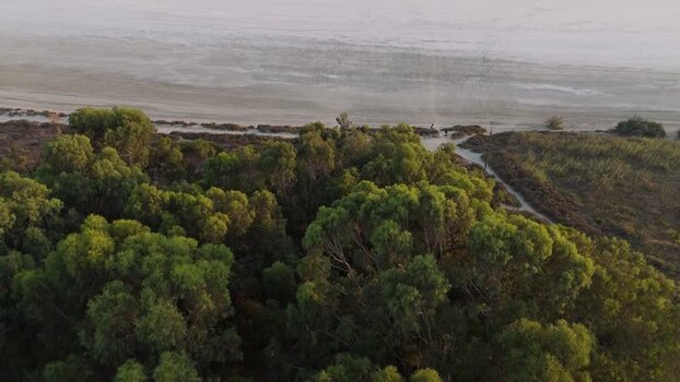 Aerial view of Larnaca Salt Lake in Cyprus.