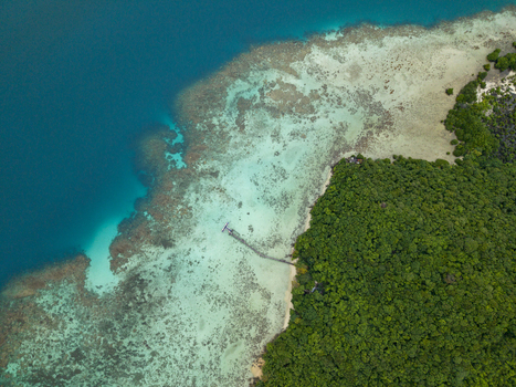 Aerial view of the dramatic contrast of deep blue sea meeting the vibrant coral reefs and lush green shoreline at Turtle Conservation Karimunjawa Central Java Indonesia.
