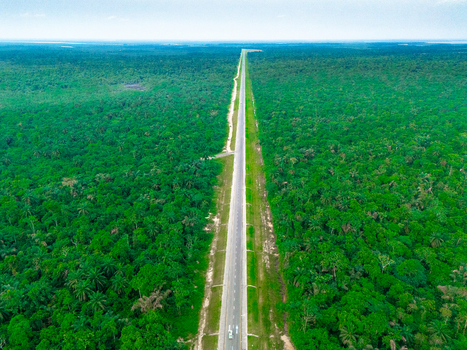 Aerial view of a long straight road cutting through the dense tropical forest of Bonny Island Bonny Town Rivers Nigeria. Aerial view of a long straight road cutting through the dense tropical forest of Bonny Island Bonny Town Rivers Nigeria.