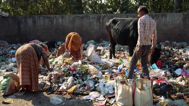 View of people scavenging in a garbage dump in Bogura Bangladesh. View of people scavenging in a garbage dump in Bogura Bangladesh.