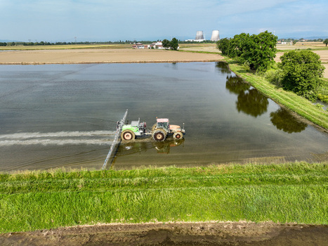 Aerial view of a tractor spraying a flooded rice field with industrial cooling towers in the distance under a clear sky Trino Piedmont Italy.