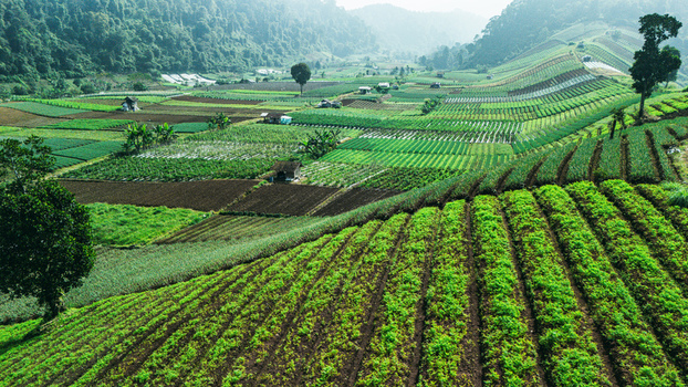 Aerial view of lush green terraced agricultural fields and vegetable plantations nestled between forested hills under a misty sky Sukabumi West Java Indonesia. Aerial view of lush green terraced agricultural fields and vegetable plantations nestled between forested hills under a misty sky Sukabumi West Java Indonesia.