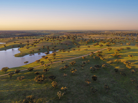 Albernoa Portugal 17 March 2026 Aerial view of rolling hills with cork oak trees a calm lake and a dirt path under a golden sunset sky. Albernoa Portugal 17 March 2026 Aerial view of rolling hills with cork oak trees a calm lake and a dirt path under a golden sunset sky.