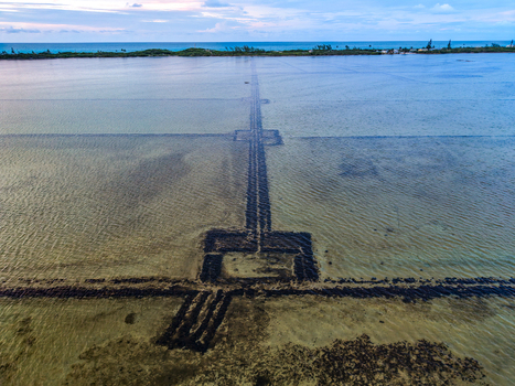 Aerial view of the geometric patterns and long paths of Salt Pond in the shallow coastal waters under a cloudy sky in Exuma Exuma The Bahamas.