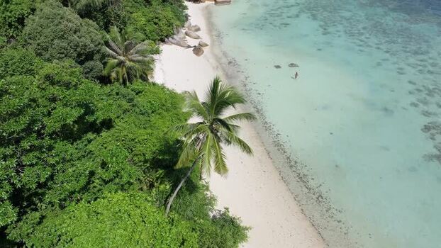 Aerial view of Perhentian Islands beach in Malaysia. Aerial view of Perhentian Islands beach in Malaysia.