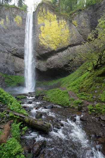 View of the cascading Latourell Falls plunging over a mossy basalt cliff into a rocky stream surrounded by lush green ferns and forest in Hood River Oregon United States.