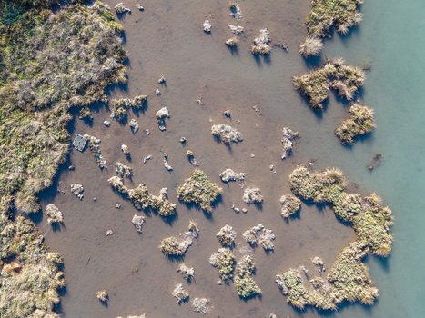 Aerial view of the marshy wetlands of Kanali i Vivarit featuring small tufts of green vegetation and reeds in shallow murky water in Vrine Vlore County Albania. Aerial view of the marshy wetlands of Kanali i Vivarit featuring small tufts of green vegetation and reeds in shallow murky water in Vrine Vlore County Albania.