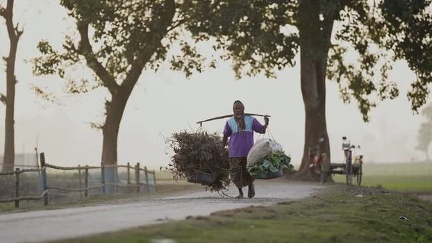 View of a man carrying crops on a rural road in Bangladesh.