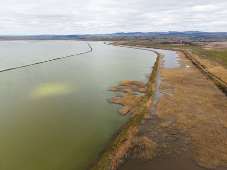 Aerial view of Lake Atanasovsko with extensive reed beds and a narrow dyke along the calm water under a cloudy sky in Burgas Burgas Bulgaria. Aerial view of Lake Atanasovsko with extensive reed beds and a narrow dyke along the calm water under a cloudy sky in Burgas Burgas Bulgaria.