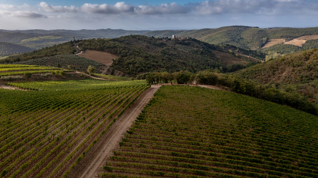 Aerial view of lush green vineyards stretching across rolling hills with a dirt path and dense forests under a cloudy sky in Greve in Chianti Tuscany Italy. Aerial view of lush green vineyards stretching across rolling hills with a dirt path and dense forests under a cloudy sky in Greve in Chianti Tuscany Italy.