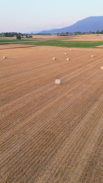 Aerial view of hay bales in harvested fields of Rural Geneva Switzerland.