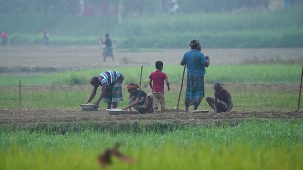 View of farmers working in a field in Bogura Bangladesh.