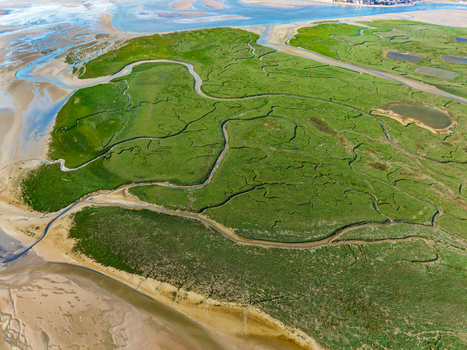 Aerial view of Baie de Somme showing winding tidal channels lush green salt marshes and sandy mudflats in Saint Valery sur Somme Hauts de France France. Aerial view of Baie de Somme showing winding tidal channels lush green salt marshes and sandy mudflats in Saint Valery sur Somme Hauts de France France.