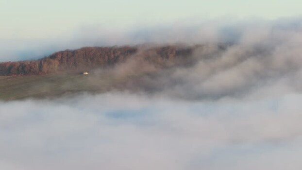 Aerial view of a forest shrouded in mist France.
