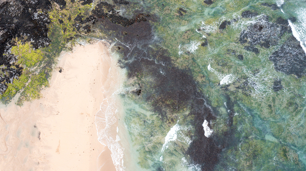 Aerial view of the sandy shoreline of Constantine Bay with mossy dark rocks and turquoise ocean waves Padstow Cornwall United Kingdom. Aerial view of the sandy shoreline of Constantine Bay with mossy dark rocks and turquoise ocean waves Padstow Cornwall United Kingdom.