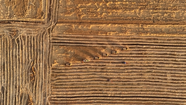 Kadinhani Konya Turkiye 24 September 2026 Aerial view of combine harvesters working in a line across golden fields creating dust trails during the harvest season. Kadinhani Konya Turkiye 24 September 2026 Aerial view of combine harvesters working in a line across golden fields creating dust trails during the harvest season.