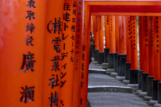 View of the Senbon Torii Thousand Torii Gates with traditional black calligraphy on vibrant vermilion wooden pillars along a stone path at Fushimi Inari taisha in Kyoto Kyoto Japan.