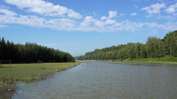 View of a calm river and lush green forest in Bangladesh.