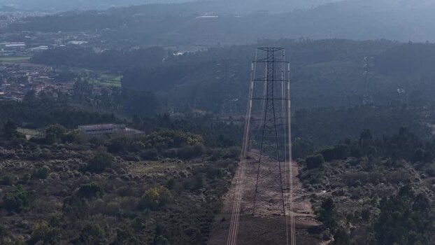 Aerial view of electricity pylons and electricity lines through a eucalyptus plantation Portugal.