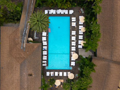 Los Angeles California United States 25 September 2026 Aerial view of The Hollywood Roosevelt swimming pool surrounded by lounge chairs palm trees and hotel architecture. Los Angeles California United States 25 September 2026 Aerial view of The Hollywood Roosevelt swimming pool surrounded by lounge chairs palm trees and hotel architecture.