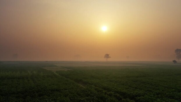 View of a misty rural landscape at sunrise in Bangladesh. View of a misty rural landscape at sunrise in Bangladesh.