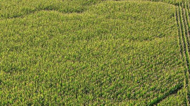 Aerial view of lush green agricultural fields in Austria. Aerial view of lush green agricultural fields in Austria.