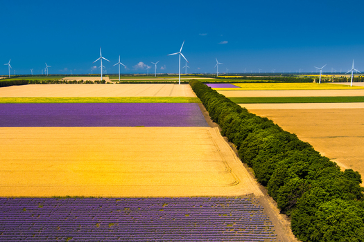 Aerial view of wind turbines rising above vibrant lavender and wheat fields with a line of trees under a clear blue sky in Saints Constantine and Helena Varna Bulgaria.