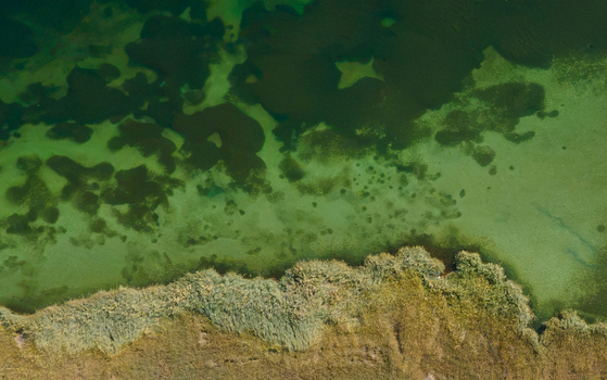 Aerial view of Blind Lake Sarfaranga Shigar with clear green water and aquatic vegetation along the grassy shoreline in Skardu Gilgit Pakistan.