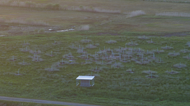 Aerial view of the LOFAR superterp radio telescope array with its field of antennas and a utility shed in the green meadows under soft sunset light Buinen Drenthe Netherlands. Aerial view of the LOFAR superterp radio telescope array with its field of antennas and a utility shed in the green meadows under soft sunset light Buinen Drenthe Netherlands.