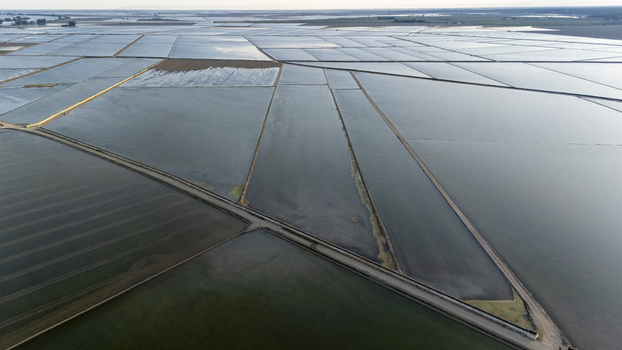 Aerial view of flooded rice fields at Isla Minima with geometric water plots and dirt paths under a soft sky in Sevilla Andalucia Spain. Aerial view of flooded rice fields at Isla Minima with geometric water plots and dirt paths under a soft sky in Sevilla Andalucia Spain.